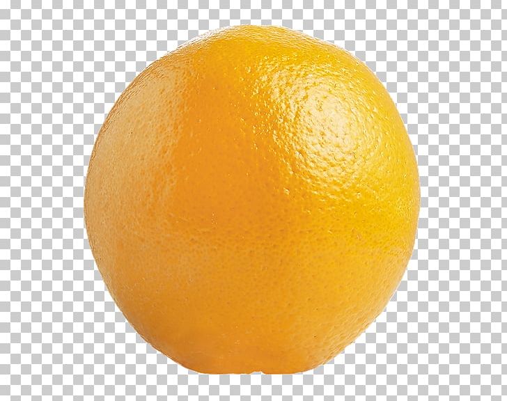Tangelo Stock Photography Fruit PNG, Clipart, Auglis, Citric Acid, Citrus, Clementine, Depositphotos Free PNG Download