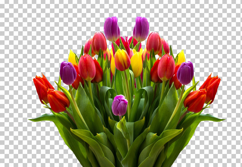 Floral Design PNG, Clipart, Bouquet, Bud, Crocus, Cut Flowers, Floral Design Free PNG Download