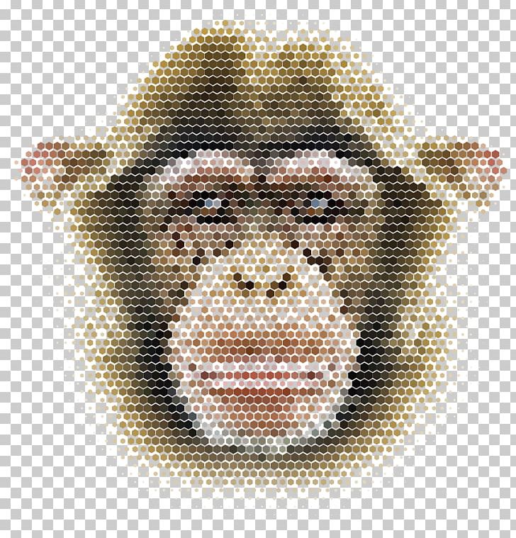 Chimpanzee Monkey Shape Illustration PNG, Clipart, Animal, Ape, Art, Cartoon Animals, Cartoon Monkey Free PNG Download
