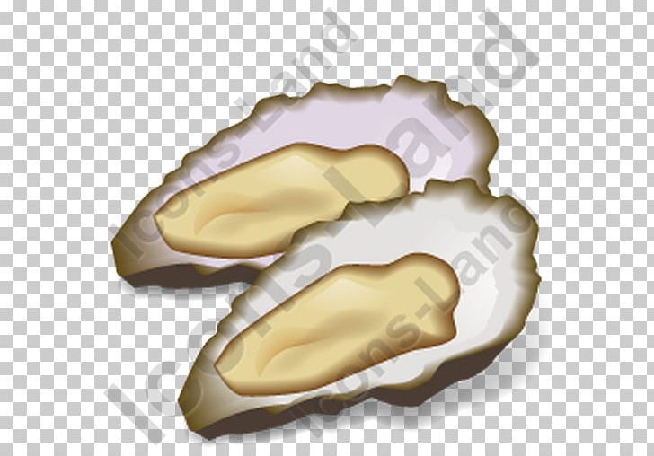 Clam Mussel Seafood Oyster Pectinidae PNG, Clipart, Animal Source Foods, Clam, Clams Oysters Mussels And Scallops, Food, Mussel Free PNG Download