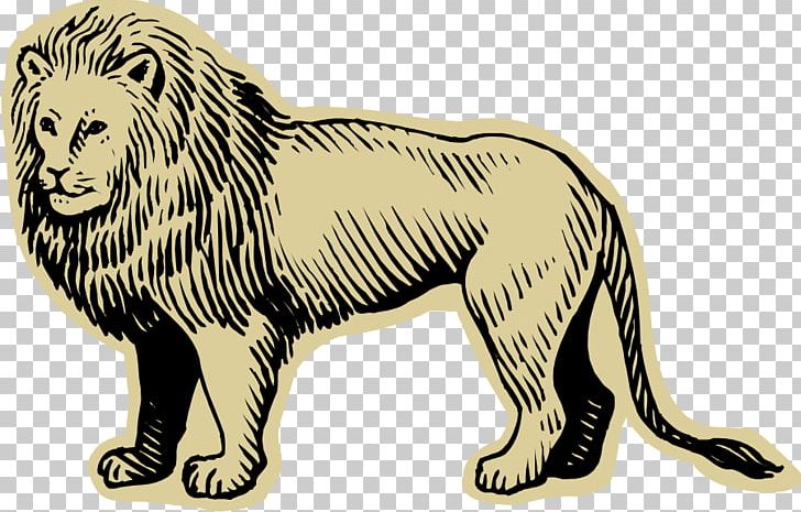 Lion Temperate Grasslands PNG, Clipart, Animal, Animals, Big Cats, Biome, Carnivoran Free PNG Download