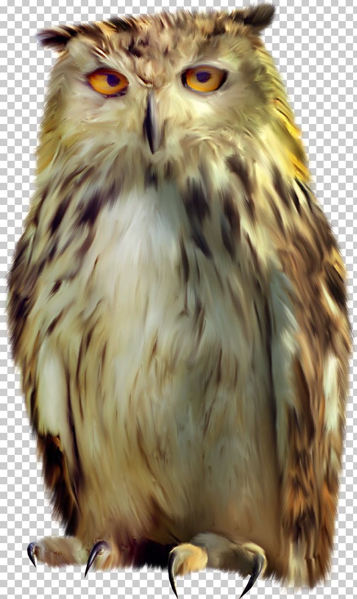 Tawny Owl Bird Portable Network Graphics PNG, Clipart, Animal, Baby Owl, Beak, Bird, Bird Of Prey Free PNG Download