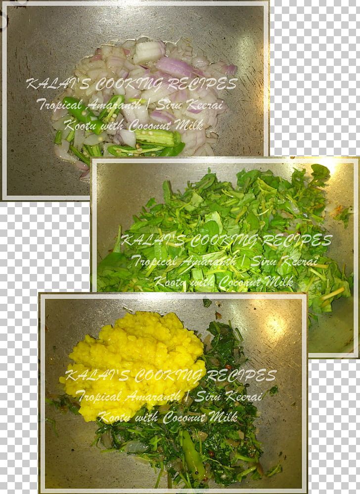 Vegetarian Cuisine Floral Design Food Herb PNG, Clipart, Art, Floral Design, Flower, Food, Green Coconut Free PNG Download