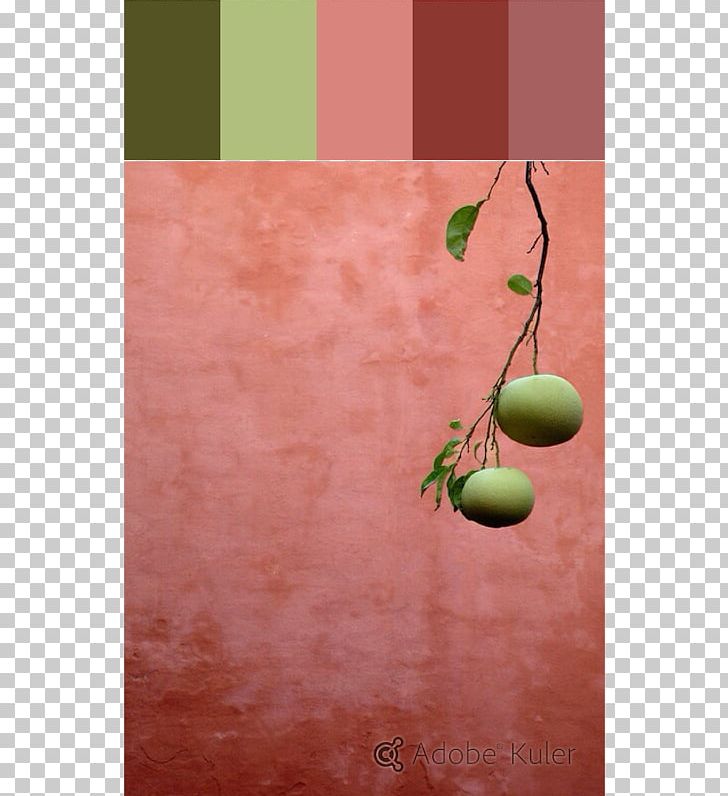 Coral Color Green Peach Turquoise PNG, Clipart, Aqua, Autumn Leaf Color, Color, Color Scheme, Computer Wallpaper Free PNG Download