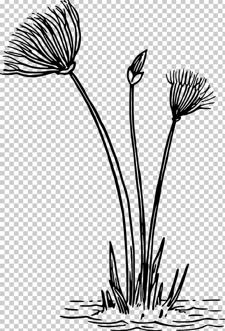Flower Kvetina PNG, Clipart, Black And White, Branch, Drawing, Flora, Floral Free PNG Download