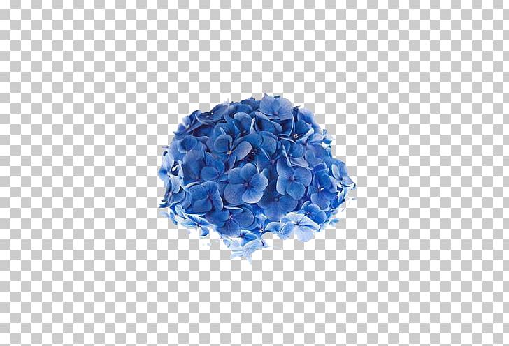 Shimoda French Hydrangea Flower Blue Photography PNG, Clipart, Bride, Bride Holding Flowers, Cobalt Blue, Electric Blue, Flower Bouquet Free PNG Download