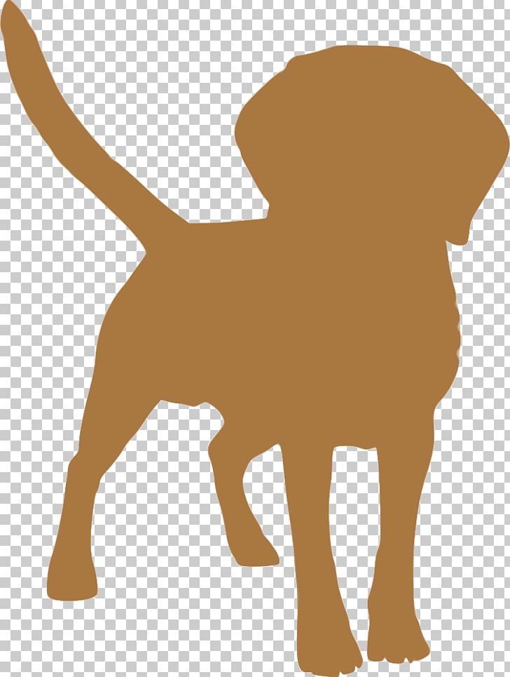 Dog Breed Puppy Tibetan Spaniel Tibetan Mastiff English Mastiff PNG, Clipart, Breed, Canidae, Carnivoran, Cat, Cat Like Mammal Free PNG Download