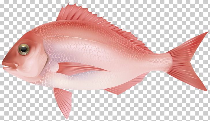 Fish Rose PNG, Clipart, Animals, Fish Free PNG Download