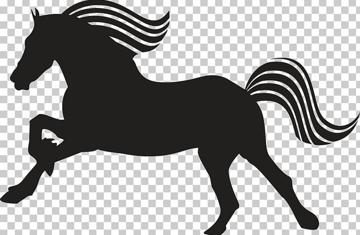 Friesian Horse Mustang Arabian Horse Peruvian Paso Appaloosa PNG, Clipart, Animal, Arabian Horse, Black, Black And White, Colt Free PNG Download