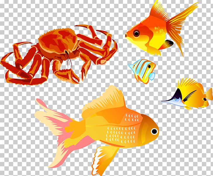 Red King Crab PNG, Clipart, Animals, Aquarium Fish, Bony Fish, Chesapeake Blue Crab, Crab Free PNG Download