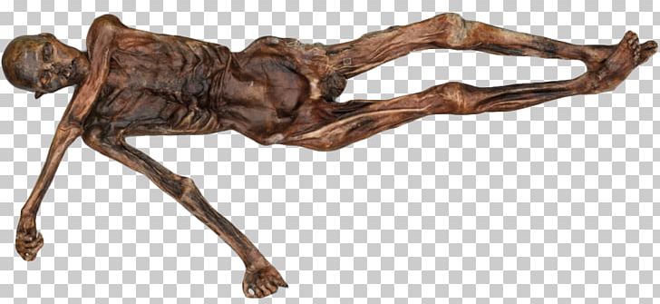 Ötzi Prehistory Ice Mummy: The Discovery Of A 5 PNG, Clipart, Animal Figure, Bolzano, Bronze, Cadaver, Curse Free PNG Download