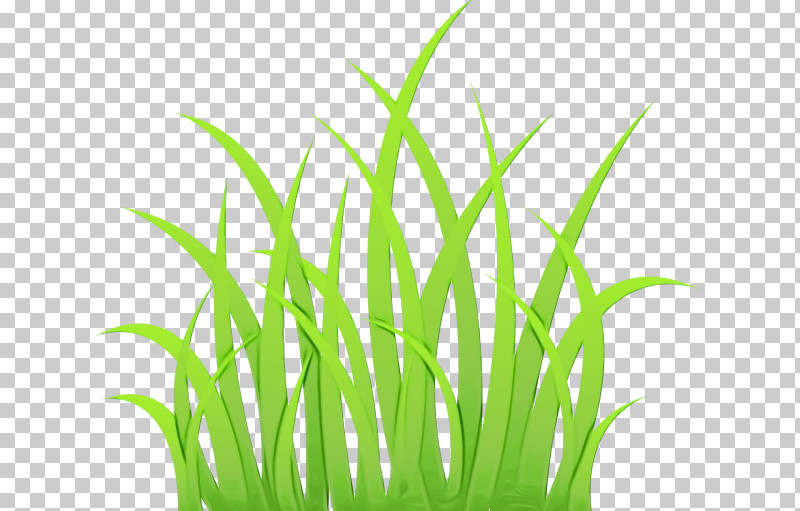 Lawn Lawn Costume PNG, Clipart, Clothing, Color, Costume, Flannel, Lawn Free PNG Download