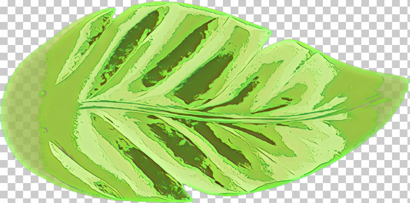 Leaf Green Plant Flower Monstera Deliciosa PNG, Clipart, Flower, Green, Leaf, Monstera Deliciosa, Plant Free PNG Download
