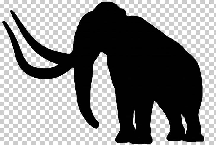 African Elephant Cat Woolly Mammoth Indian Elephant Elephantidae PNG, Clipart, African Elephant, Animal, Asian Elephant, Big Cats, Black Free PNG Download