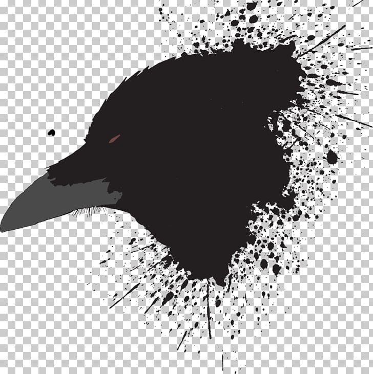 Black And White Beak Graphics Video PNG, Clipart, Beak, Bird, Black, Black And White, Download Free PNG Download