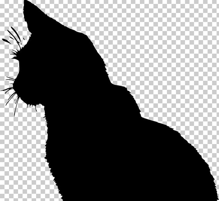 Cat Online Chat PNG, Clipart, Animals, Black, Carnivoran, Cat Like Mammal, Dog Like Mammal Free PNG Download