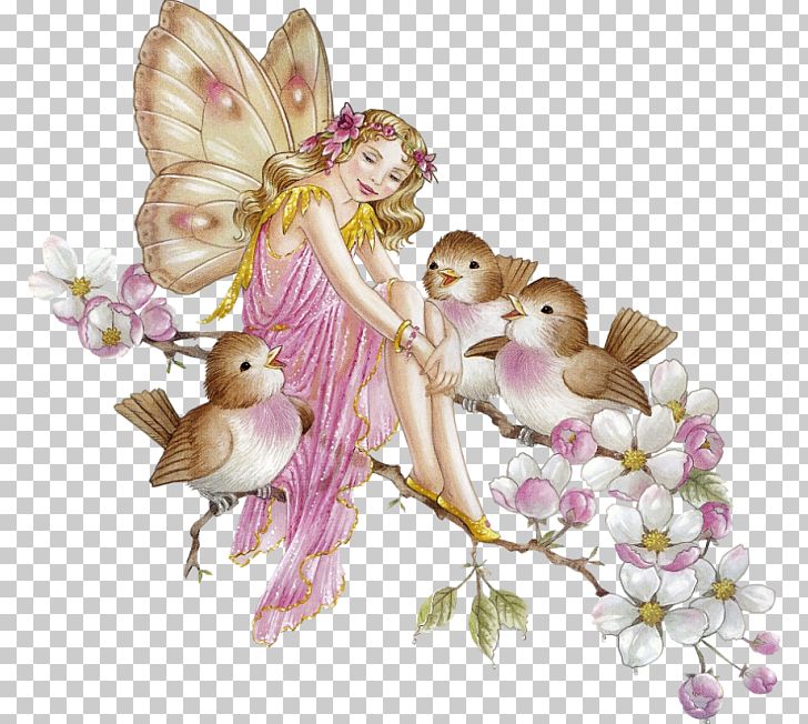 Fairy Flower Fairies PNG, Clipart, Angel, Blossom, Cut Flowers, Display Resolution, Elf Free PNG Download