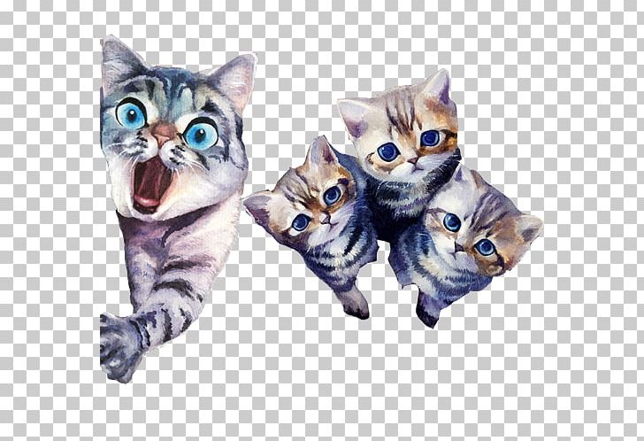 American Shorthair Bengal Cat Kitten Tabby Cat Whiskers PNG, Clipart, Animals, Bengal, Bengal Cat, Carnivoran, Cat Free PNG Download