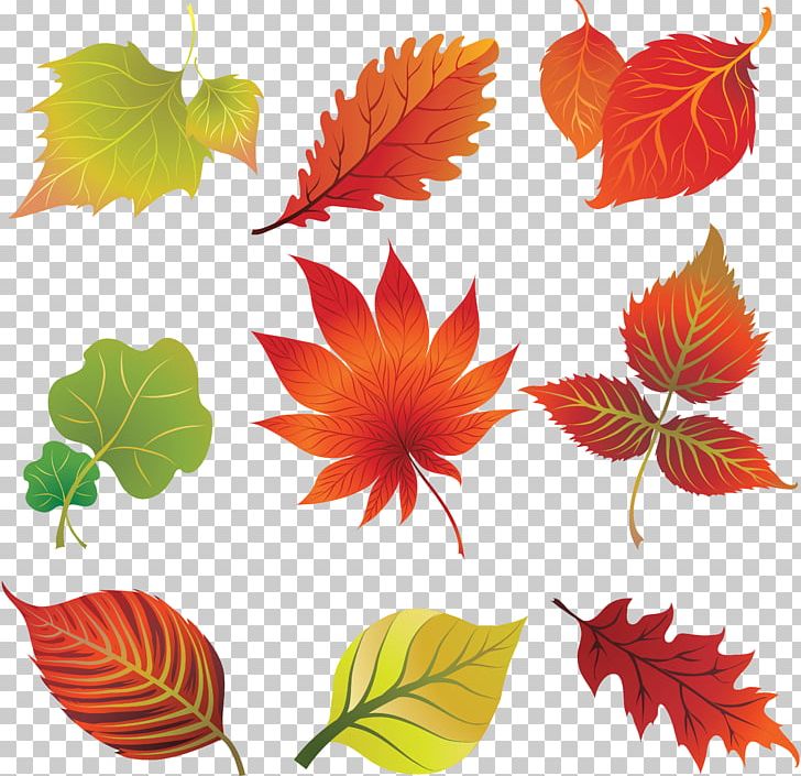 Autumn Leaf Color Art PNG, Clipart, Art, Autumn, Autumn Leaf Color, Autumn Leaves, Clip Art Free PNG Download