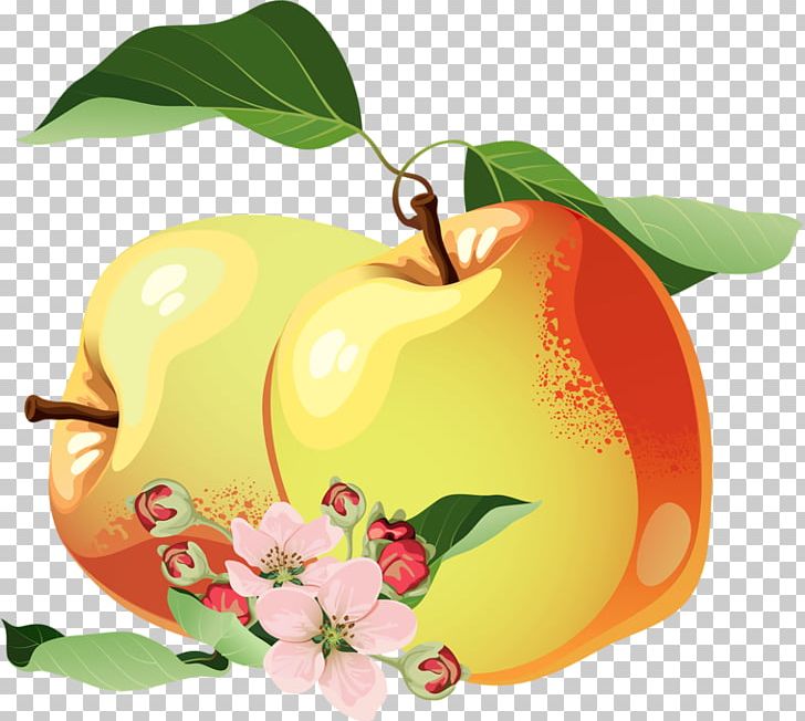 Apple Marmalade PNG, Clipart, Apple, Apples, Citrus, Encapsulated Postscript, Food Free PNG Download