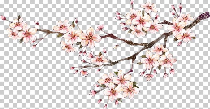 Chinese New Year Poster Chinese Painting PNG, Clipart, Blossom, Branch, Cherry Blossom, Cut Flowers, Flora Free PNG Download