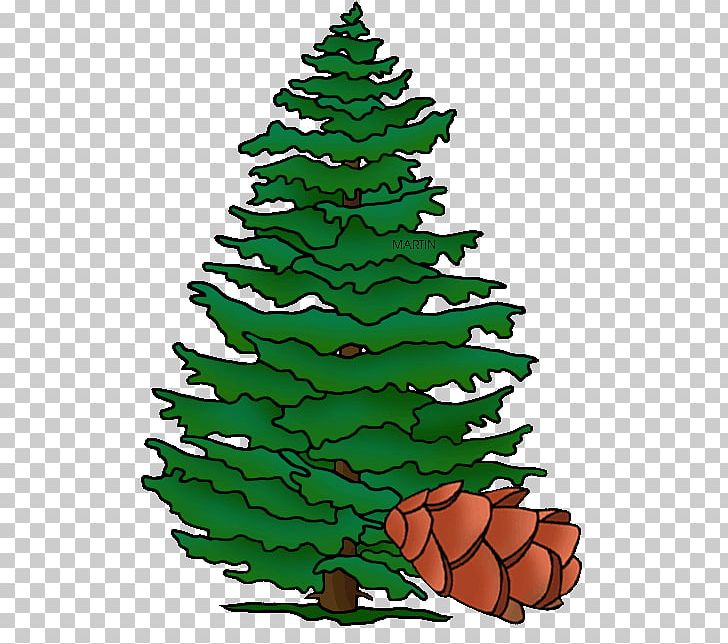 Christmas Tree Spruce Pennsylvania Fir Pine PNG, Clipart, Bald Cypress, Branch, Cedar, Christmas, Christmas Decoration Free PNG Download