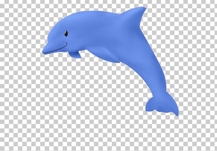 Common Bottlenose Dolphin Drawing PNG, Clipart, Albom, Animals, Animation, Beak, Blue Free PNG Download