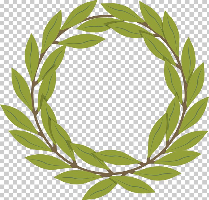 Olive Branch PNG, Clipart, Branch, Branches, Branch Vector, Christmas Decoration, Decoration Free PNG Download