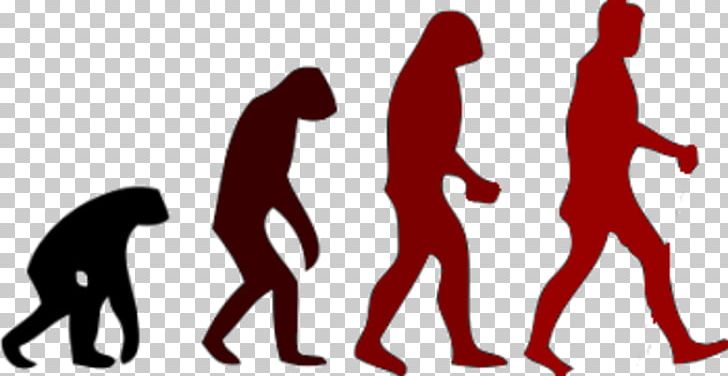 March Of Progress Human Evolution Neanderthal PNG, Clipart, Ape, Area, Arm, Biology, Bipedalism Free PNG Download