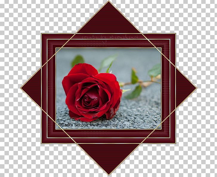 Tod Mit Ansage Garden Roses Rosette Design PNG, Clipart, Computer Icons, Floral Design, Flower, Flower Arranging, Flowering Plant Free PNG Download