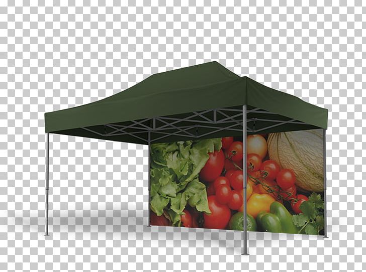 Canopy Promotion Advertising Tent Coupon PNG, Clipart, Advertising, Advertising Media Selection, Canopy, Coupon, Discounts And Allowances Free PNG Download