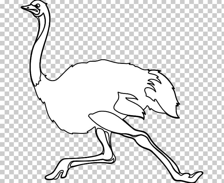 Common Ostrich Black And White Drawing PNG, Clipart, Animals, Area, Arm, Art, Artwork Free PNG Download
