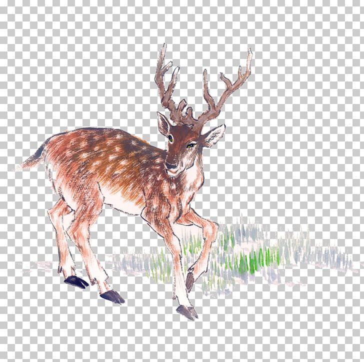 Deer Chinese Painting Ink Wash Painting PNG, Clipart, Animal, Animals, Antler, Art, Brown Free PNG Download