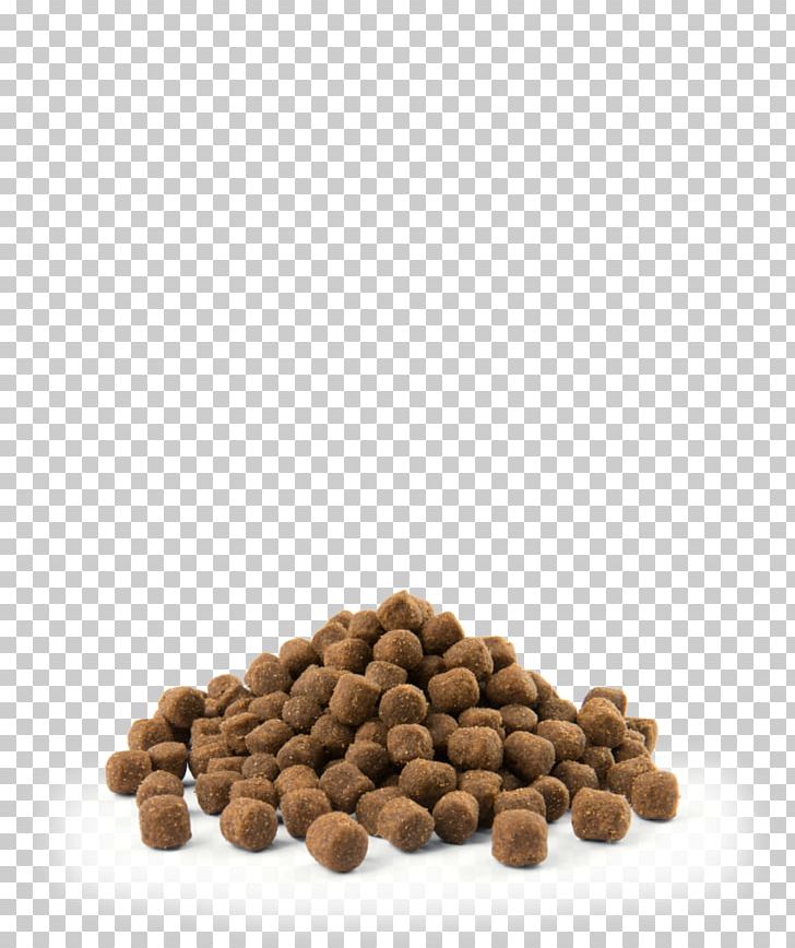 MINI Cooper Dog Food Metabolism PNG, Clipart, Animals, Breed, Chicken As Food, Digestion, Dog Free PNG Download