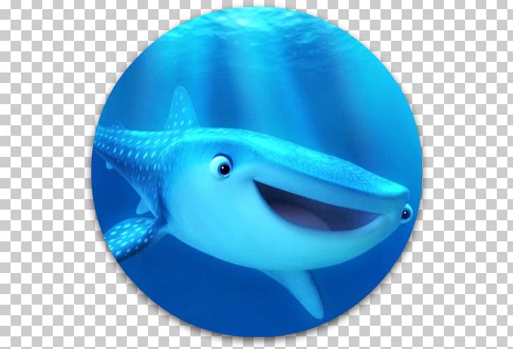 Pixar Computer Icons Marine Mammal Marine Biology Whale PNG, Clipart, Amnesia, Aqua, Blue, Cartilaginous Fish, Cetacea Free PNG Download
