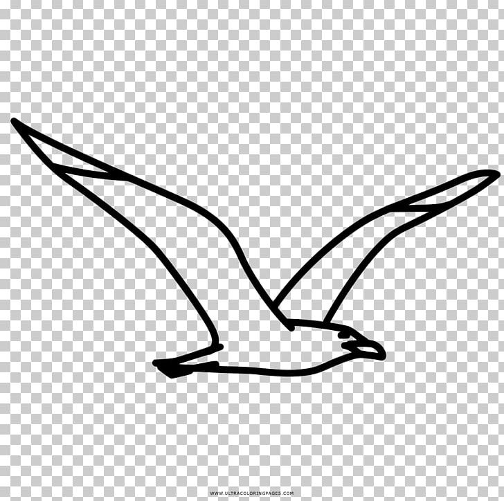 Coloring Book Drawing Gulls Kyanite PNG, Clipart,  Free PNG Download