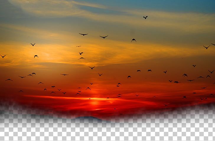 Sunset Sky Cloud PNG, Clipart, Afterglow, Animals, Atmosphere, Bird, Bird Cage Free PNG Download