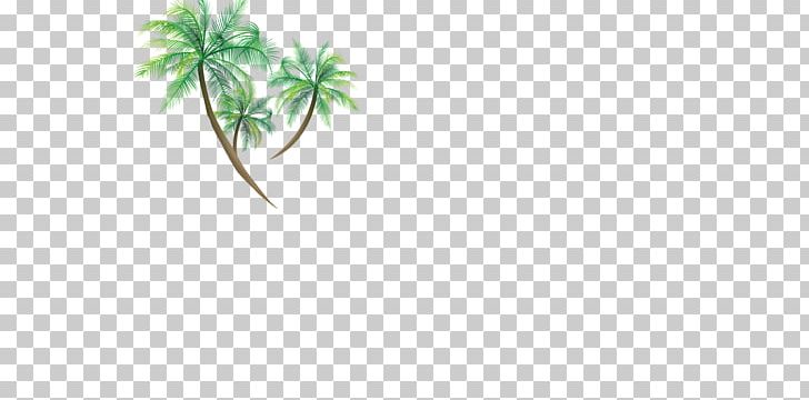 Green Leaf Area Pattern PNG, Clipart, Angle, Area, Christmas Tree, Coconut, Coconut Tree Free PNG Download