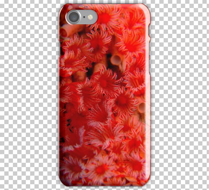 Organism Mobile Phone Accessories RedTube Mobile Phones IPhone PNG, Clipart, Giant Tube Worm, Iphone, Mobile Phone Accessories, Mobile Phone Case, Mobile Phones Free PNG Download