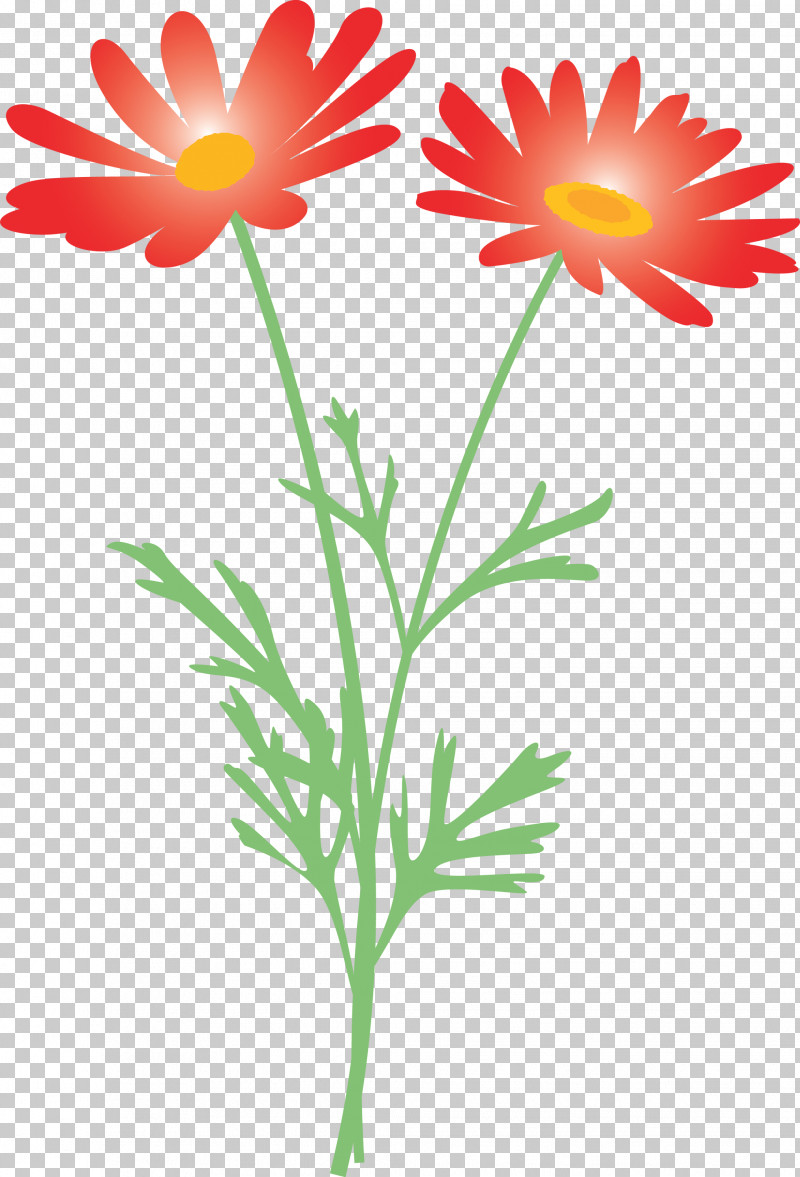 Marguerite Flower Spring Flower PNG, Clipart, Camomile, Chamomile, Cut Flowers, Daisy, Daisy Family Free PNG Download