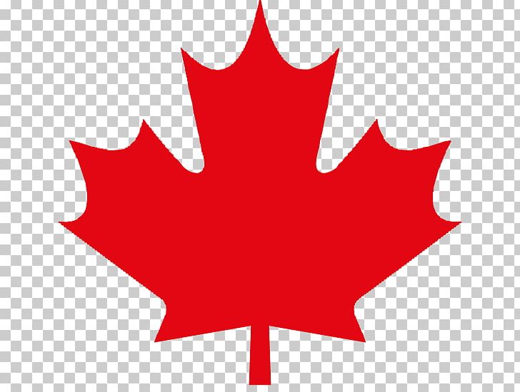 Flag Of Canada Maple Leaf Open PNG, Clipart, Canada, Download, Flag Of Canada, Flower, Flowering Plant Free PNG Download