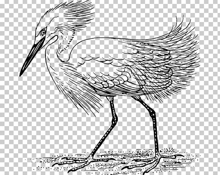 Heron Great Egret Bird PNG, Clipart, Animals, Art, Artwork, Beak, Bird Free PNG Download