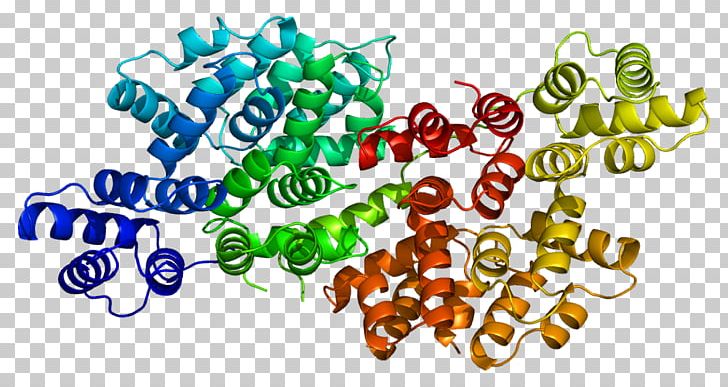 ANXA6 Annexin Gene Protein PNG, Clipart, Annexin, Annexin A6, Creative Commons, Food, Gene Free PNG Download