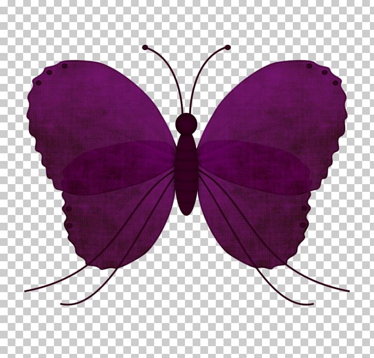Butterfly PNG, Clipart, Arthropod, Askartelu, Brush Footed Butterfly, Butterfly, Colours Free PNG Download