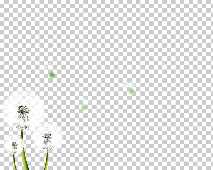 Butterfly Green Angle Pattern PNG, Clipart, Angle, Black Dandelion, Butterfly, Dandelion, Dandelion Flower Free PNG Download