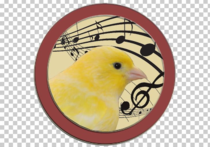 Musical Note Musical Theatre Art Wall Decal PNG, Clipart, Art, Beak, Bird, Canary, Champion Free PNG Download