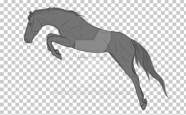 Pony Mane Stallion Foal Mustang PNG, Clipart, Black, Black And White, Carnivoran, Colt, Dog Like Mammal Free PNG Download