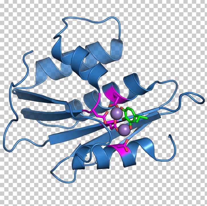 Retroviral Ribonuclease H Reverse Transcriptase Endoribonuclease PNG, Clipart, Active Site, Antagonist, Artwork, Catalysis, Endoribonuclease Free PNG Download