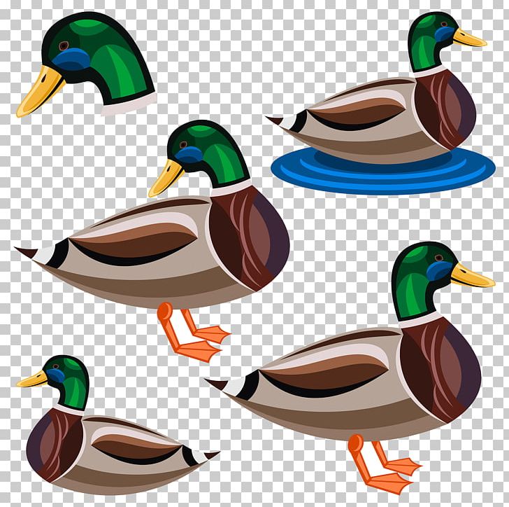Duck Cartoon Illustration PNG, Clipart, Adobe Illustrator, Animals, Beak, Bird, Cdr Free PNG Download