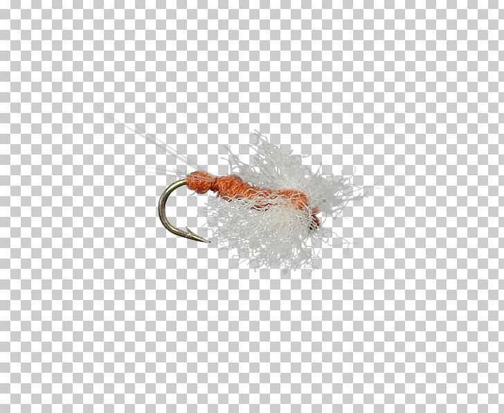 Insect PNG, Clipart, Animals, Fly, Gift, Gift Card, Insect Free PNG Download